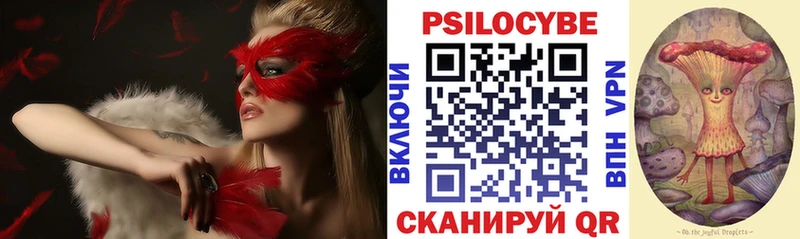 маркетплейс телеграм  Вичуга  Псилоцибиновые грибы Cubensis 
